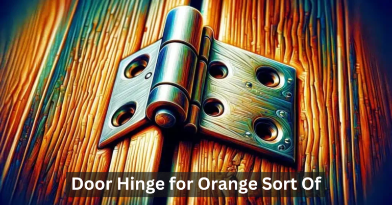 Door Hinge for Orange Sort Of